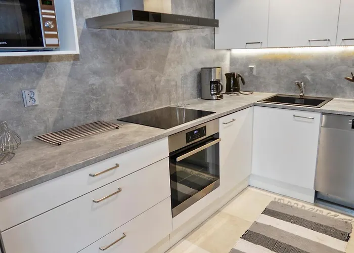 Agenttimajat 1 By Interhome * 库萨莫